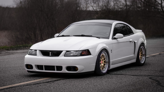 Обои картинки фото автомобили, mustang, ford, shelby, cobra