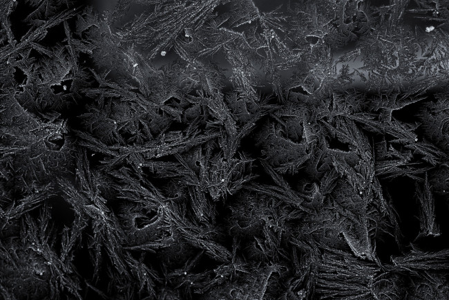 Обои картинки фото разное, компьютерный дизайн, иней